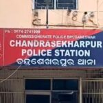 କଙ୍କଡା ଧରିବା ବେଳେ ଟାଣିନେଲା କୁମ୍ଭୀର, ଉଦ୍ଧାର କଲେ ବନ କର୍ମଚାରୀ