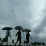 ଲମତାପୁଟରେ ପହିଲି ଶୀତ ସହ ଘନ କୁହୁଡି